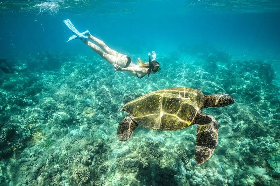 Marsa Alam