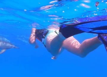 Dolphin House Hurghada (6)