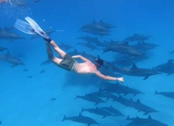 Dolphin House Hurghada (7)