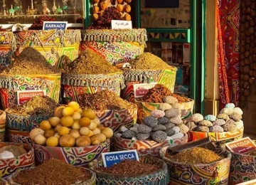 Marsa-Alam-To-Abu-Simbel-egypt-inside (2)