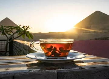 Safaga-To-Cairo-egypt-inside (3)