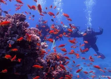 Sharm El Naga Hurghada (6)