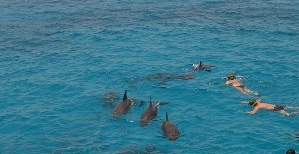 Dolphin-House-Marsa-Alam-Egypt-egypt-inside (1)