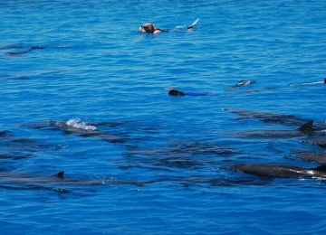 Dolphin-House-Marsa-Alam-Egypt-egypt-inside (2)