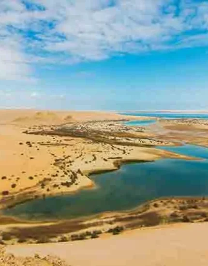 Oasis De Fayum (1)