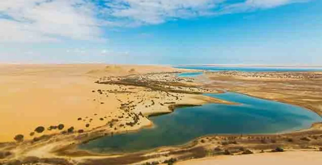 Oasis De Fayum (1)