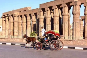 3-Nights-Nile-Cruise-egypt-inside (4)