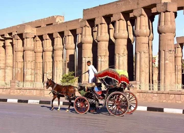 Long-Nile-Cruise-egypt-inside (10)